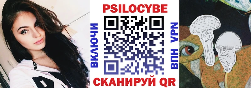 где купить   Магнитогорск  Псилоцибиновые грибы Psilocybine cubensis 